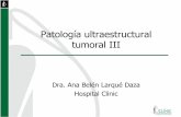 Patología ultraestructural tumoral III - seap.es · Historia clínica • Varón de 21 años • Sin antecedentes patológicos de interes • Tumoración en región plantar interna