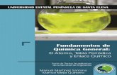 Martínez y Mejía, 2017 Fundamentos de Químicarepositorio.upse.edu.ec/bitstream/46000/4229/1/Fundamentos de... · Modelo Atómico de Rutherford 10 ... Ventajas y limitaciones del