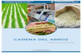 N°1 - Subsecretaría de Alimentos y Bebidas · Brasil importó el 21% de sus comparas de arroz desde Argentina, que se constituyó en el segundo proveedor, luego de Paraguay. En