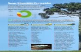 Áreas Silvestres Protegidas - historico.ine.clhistorico.ine.cl/canales/menu/publicaciones/calendario_de_publica... · La superficie nacional y regional de Chile corresponde a 75.609.630