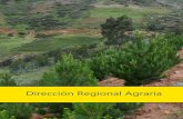 Dirección Regional Agraria - regionayacucho.gob.pe · Asistencia técnica para la producción de durazno en la Cuenca de Río Pampas La Mar, Huanta Santa Rosa, Anco, Ayna, Chungui,