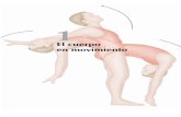 El cuerpo en movimiento - Editorial Paidotribo: Libros de ... · 20 Atlas conciso de los músculos El sistema esquelético Skull Cranium Facial bones Vertebral column Bony thorax