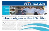 Blumar, Pesquera Bio Bio y Congelados Pacífico · una empresa rentable y sustentable en el tiempo. El lema es “hacer más con menos”, transformarnos en una empresa más ágil,