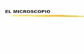 Microscopio - PRESENTACIÓNaprendiendolascienciasnaturales.weebly.com/.../06_microscopio.pdf · Microscopio Óptico Compuesto M.O. Normal Campo oscuro Contraste de fases Fluorescencia