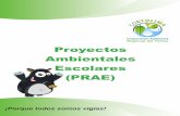 Proyectos Ambientales Escolares (PRAE) · ØEs necesario que la universidad desarrolle estrategias tendientes a introducir la pedagogía, la didáctica y la investigación en educación