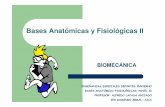 Bases Anatómicas y Fisiológicas II - iesdomingomiral.comiesdomingomiral.com/wp-content/uploads/2014/11/BAF_II.pdf · coracobraquial, pectoral mayor y bíceps braquial. Músculos