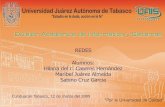 Alumnos: Hilaria del c. Caseres Hernández Maribel …€¦ · 4.1.2 Control de las conversaciones Las funciones principales especificadas por todos los protocolos de la capa de Transporte