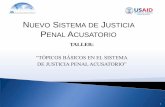 NUEVO SISTEMA DE JUSTICIA PENAL …abaroli.mx/wp-content/uploads/2015/04/Nuevo-Sistema-de-Justicia... · Materia Laboral 123 Régimen ... Audiencia de individualización sanciones