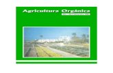 Colección Revista Agricultura Orgánica 1995-1999 1995-3/Revista 1995... · Cubanos visitan fincas orgánicas en California Proyecto SANE-CUBA ... "bichos buenos" o los 'bichos malos",