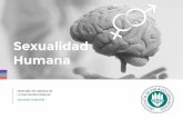 Sexualidad Humana - enlace.edu.mx · biopsicosexual. orientaciÓn sexual.....50 1 4. identidad e imagen corporal sexual.....56 1 5. ¿quÉ es la persona?.....64 1 6. trastornos neuroplÁsticos