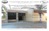 Universidad Autónoma del Carmen - unacar.mx TECNICO 201… · que presenta una mayor densidad de nidos por ... protección mediante campamentos tortugueros en los litorales mexicanos,
