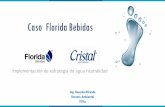 Caso Florida Bebidas - Cámara de Industrias de Costa … · la planta de agua y refrescos. Para cada presentación es la • 355 ml TP 12,76%, • 600 ml 45,63%, • 1000 ml 18,97%