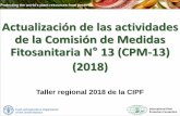 Actualización de las actividades de la Comisión de … · Taller regional 2018 de la CIPF Actualización de las actividades de la Comisión de Medidas Fitosanitaria N° 13 (CPM-13)