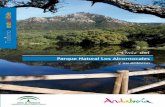 Guía - Junta de Andalucía · Altitud máxima: 1.092 m (Pico de El Aljibe o Pilita de la Reina) Datos climáticos: ... Alcornocales, acebuchares, quejigares, bosques de niebla y
