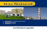 Gerencia de Fiscalización de Gas Naturallarevistadelgasnatural.osinerg.gob.pe/publicaciones/files/37_2.pdf · cumplimiento de la normava técnica y de seguridad. En ese sendo, a