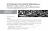 Acca sellowiana - :::SCCH:::Sociedad Colombiana de ...soccolhort.com/revista/pdf/magazin/Vol1/vol.1no.2/Vol.1.No.2.Art.4.pdf · El cultivo de la feijoa tiene una ventaja comparativa