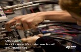 Uruguay: la cooperación internacional en imágenes · las necesidades de desarrollo de Uruguay, promover la transferencia de experiencias de Uruguay hacia otros países y difundir