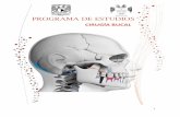 PROGRAMA DE ESTUDIOS - odonto.unam.mx · El programa de cirugía bucal es estructurado con una orientación contemporánea, incluyéndose en él, los conceptos básicos de la cirugía