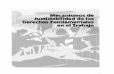 Mecanismos de Justiciabilidad de los Derechos ...catedraunescodh.unam.mx/catedra/catedradh2007/KitEmpresaDerecho... · Sistema Interamericano de Protección de los Derechos Humanos.
