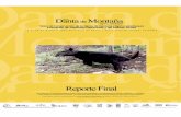 Taller de Conservación de la Danta de Montaña ...tapiruscol.tripod.com/recursos/Plandantamontana.pdf · Comité de Planeación de Acciones del TSG Durante el Primer Simposio Internacional