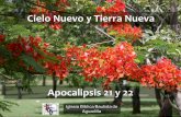 Cielo Nuevo y Tierra Nueva - iglesiabiblicabautista.orgiglesiabiblicabautista.org/archivos/sermones/apocalipsis_ayuda... · II. El nuevo pueblo de Dios (21.3–8) ... En Daniel 12.4