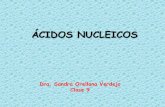ÁCIDOS NUCLEICOS - nutricion2013 · Clase 9 ¿Qué son los ... Bases nitrogenadas . FUNCIONES de NUCLEOTIDOS 1.- Transfieren o transportan energía química 2.- ... FUNCIONES DE