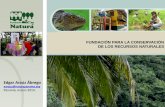 FUNDACIÓN PARA LA CONSERVACIÓN DE LOS …elti.fesprojects.net/2014_Watershed_Conf_Panama/edgar_arauz.pdf · Somos una Fundación comprometida con la conservación y protección