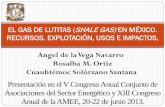 Angel de la Vega Navarro Rosalba M. Ortiz … · plantea que el shale gas será parte importante de la oferta futura de energía . Los escenarios muestran que la producciónde gas