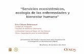 Servicios ecosistémicos, ecología de las … · Relaciones multifactoriales Relaciones multifactoriales Relaciones ... • Creación de redes de trabajo interdisciplinarias ...