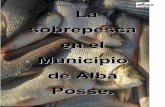 La sobrepesca en el Municipio de Alba Posse - Misiones · desierto de agua, especialmente al rio Uruguay. Lo dicen los pescadores; lo confirman estudios científicos y lo comprueba