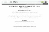 Instituto Tecnológico de Los Mochis.sistemanodalsinaloa.gob.mx/archivoscomprobatorios/_27_asesor... · Instituto Tecnológico de Los Mochis. ANTEPROYECTO DE RESIDENCIA PROFESIONAL