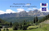 Apuntes del Pirineo Aragonés - Biblioteca Virtual Seniorbibliotecavirtualsenior.es/wp-content/uploads/2015/05/Apuntes-del... · Apuntes del Pirineo Aragonés Alumno: Germán Galindo