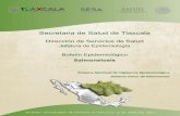 Secretaria de Salud de Tlaxcala - JEFATURA DE … · • Las salmonelas pueden atravesar toda la cadena alimentaria, desde los piensos (forrajes o hierba) ... EPIDEMIOLOGICA DE LA