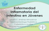 Enfermedad Inflamatoria del Intestino en Jóvenesfeatpr.com/uploads/3/5/0/3/35032465/maria_c... · Enfermedad Inflamatoria del Intestino en Jóvenes María C Jiménez Almodóvar Gastroenteróloga
