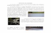 RUTA DE LAS LAGUNAS 2 - sacam.org DE LAS LAGUNAS 2.pdf · el parque natural de las Lagunas de Ruidera que refleja la belleza y el atractivo del conjunto de humedales de esta comarca.