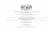 UNIVERSIDAD NACIONAL AUTONOMA´ DE MEXICO´148.206.53.84/tesiuami/UAMI15837.pdf · universidad nacional autonoma´ de mexico´ posgrado en ciencia e ingenier´ia de la computacion´