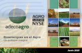Bioenergías en el Agro · Nuestras Unidades de Negocio 5 . 183 278235 293 356 394 612 2.456 ... Plan de manejo de Biodiversidad ... campo como bio-fertilizante 30 . 29