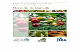 Estudio de Oportunidades Comerciales para Productos ...webiica.iica.ac.cr/argentina/documentos/cdd-studio_Canad.pdf · canadienses y la forma como el consumidor promedio da preferencia