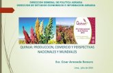 QUINUA: PRODUCCION, COMERCIO Y …agroaldia.minagri.gob.pe/.../videoconferencias/2015/quinua_mundial.pdf · direccion de estudios economicos e informacion ... quinua, precio promedio
