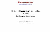 El Libro de las Lágrimasapi.ning.com/.../BucayJorgeElCaminodelasLgrimas.doc · Web viewEl cuento de los mineros debería obligarnos a pensar en estos condicionamientos. Y empiezo