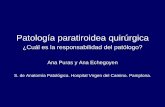 Patología paratiroidea quirúrgica - seapcongresos.com · (H.secundario) y quirúrgica, total, en los estadios avanzados (H.terciario y cuaternario). Actualmente, para manejo de