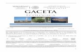 E F I L G E P A R E I A PEIA DGIRA,consultaspublicas.semarnat.gob.mx/Gacetas/archivos2016/gaceta_15... · ... el proyecto pretende la modernizacion de una terraceria a un camino tipo