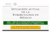 Situación actual de la Tuberculosis en México · Colombia 70%. Metas de la Alianza ... del Desarrol lo del Milenio Incidencia, mortalidad y curación, asociadas a tuberculosis,