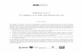 M 1 CURRÍCULO DE MATEMÁTICAS - …funes.uniandes.edu.co/8527/1/Apuntes_Modulo1_M5.pdf · la metodología y la evaluación de cada tema en su ... ENSEÑANZA Y EL APRENDIZAJE DE LAS