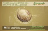 PANORAMA SANITARIO DEL CULTIVO DE SOJA …seminario2014.acsoja.org.ar/wp-content/uploads/2014/05/ACS-Seminar... · difusividad tÉrmica de las capas superficiales * germinaciÓn-emergencia