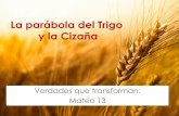 Parábola del trigo y la cizaña - vidaculiacan.comvidaculiacan.com/wp-content/uploads/2014/07/La-parábola-del-Trigo... · •CONTEXTO. Es la segunda parábola de Mateo cuyo tema