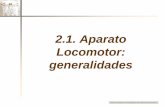 2.1. Aparato Locomotor: generalidades · 2.1. Aparato Locomotor: ... Biaxial. Flexión-Extensión, abducción-aducción y oposición del pulgar a los dedos. Tipos de diartrosis según