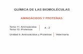 Tema 11: Aminoácidos A - Z Tema 12: Proteínas …ecaths1.s3.amazonaws.com/quimicaorganicafaz/303890962.Aminoac y... · 4- Proteínas contráctiles o motiles: confieren a las células