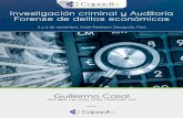Guillermo Casal - capacita.cocapacita.co/.../pdf/Investigacion_criminal_Auditoria_Forense_PR.pdf · de los Estados nacionales para combatir a la delincuencia trasnacional, y las facilidades