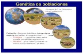 Genética de poblaciones - Rodrigo Beas · Los pinzones de las Galapagos • Darwin observó una diversidad de formas y estilos de vida (13 especies) ... por hibridización, pérdida